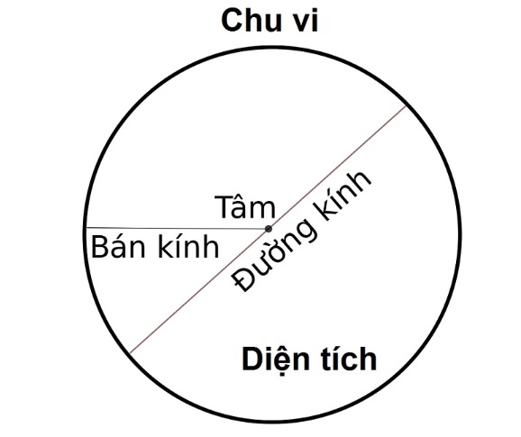 dien tich hinh tron 1 jpg