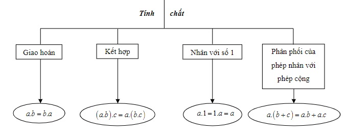 phep nhan hai so nguyen cung dau 2 jpg